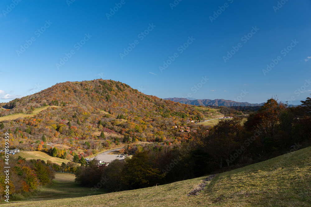 紅葉する茶臼山高原