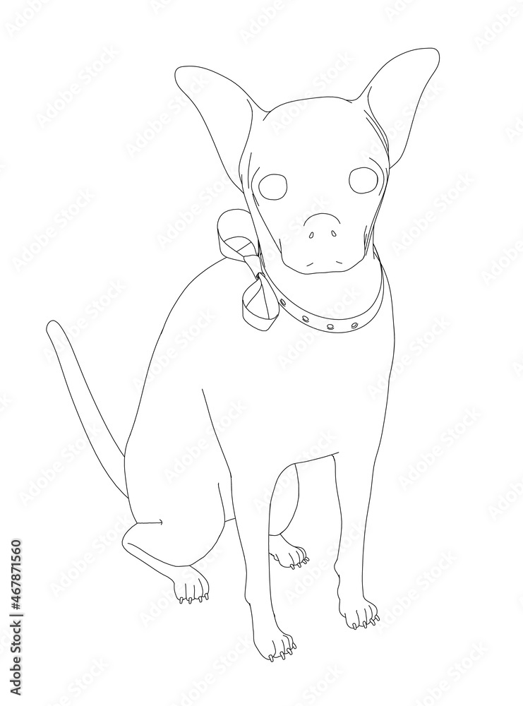 Obraz premium Contour of a sitting dog from black lines isolated on a white background. Vector illustration