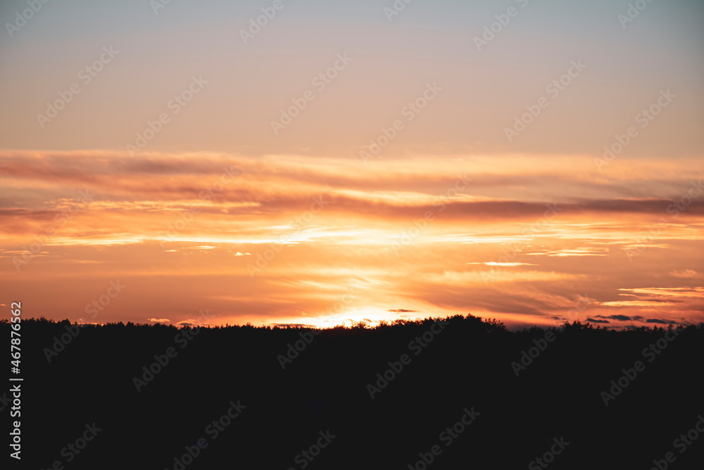 Bright sunset over dark forest. Orange pastel colors in the sky, thin clouds illuminated by the sunlight. Selective focus on the cloudscape pattern, blurred background.