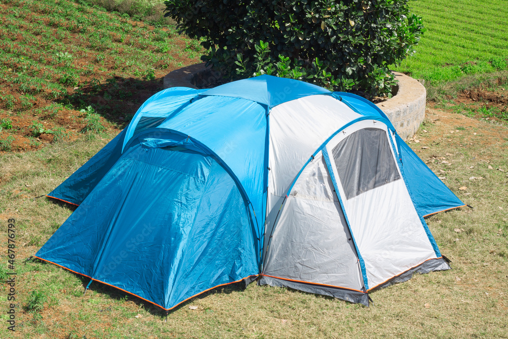 Blue and white color tent near the tree. Fresh farm land.