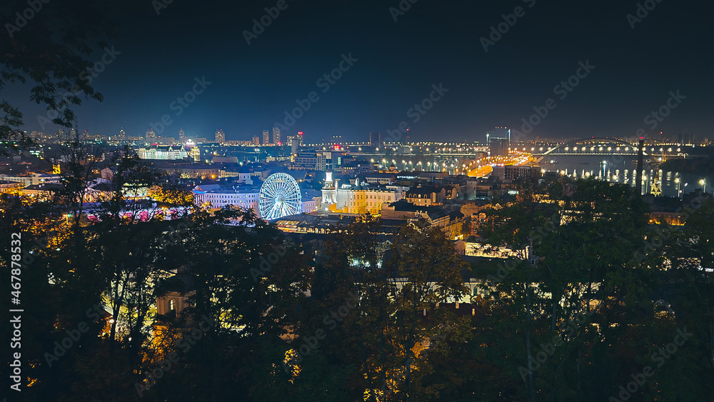 Obraz premium Ferris wheel in the night city