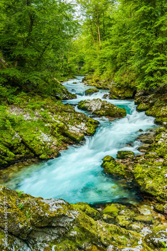 Vintgar Gorge near Lake bled in Slovenia