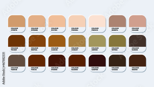 Pantone Colour Guide Pcalette Catalog Samples SKINTONES color  in RGB HEX. Neomorphism Vector photo