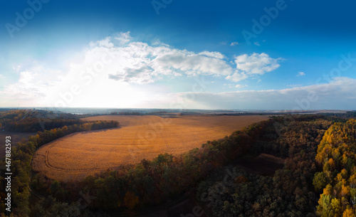 Aerial wide view of lake at sunrise in autumn. Meadows, trees at dawn. Colorful aerial landscape of river coast at sunset in fall. Plowed fields, harvested crops, dry corn. Horodok Ukraine