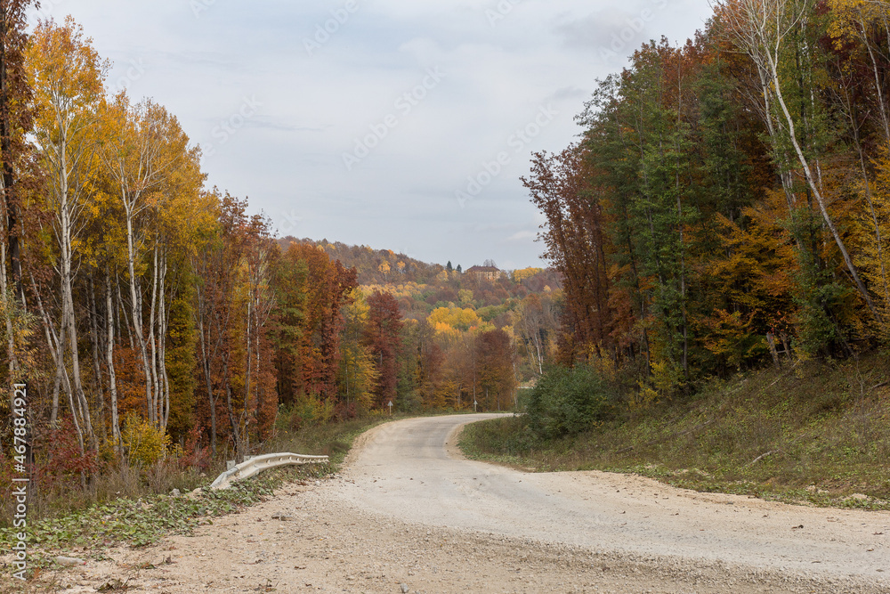 Obraz premium Autumn, dirt road through the park, colorful foliage on the crowns of trees, clear morning air, panoramic view.