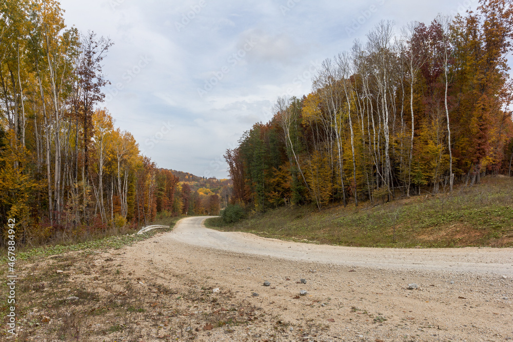 Obraz premium Autumn, dirt road through the park, colorful foliage on the crowns of trees, clear morning air, panoramic view.