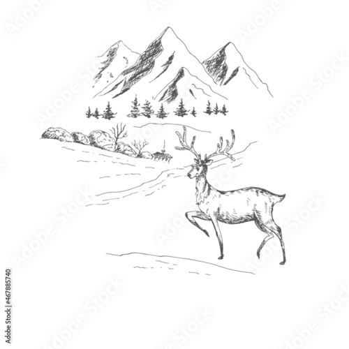 Christmas  New Year landscape with deer. Vector illustration  sketch  drawing.