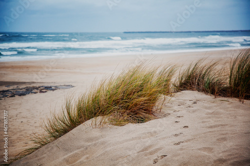 Sand dunes with grass on the shores of the Atlantic Ocean in Portugal. Beautiful sea ocean landscape