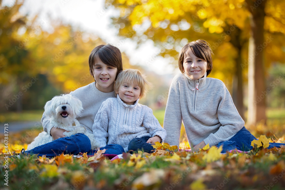 Fototapeta premium Happy children, playing with pet dog in autumn park on a sunny day
