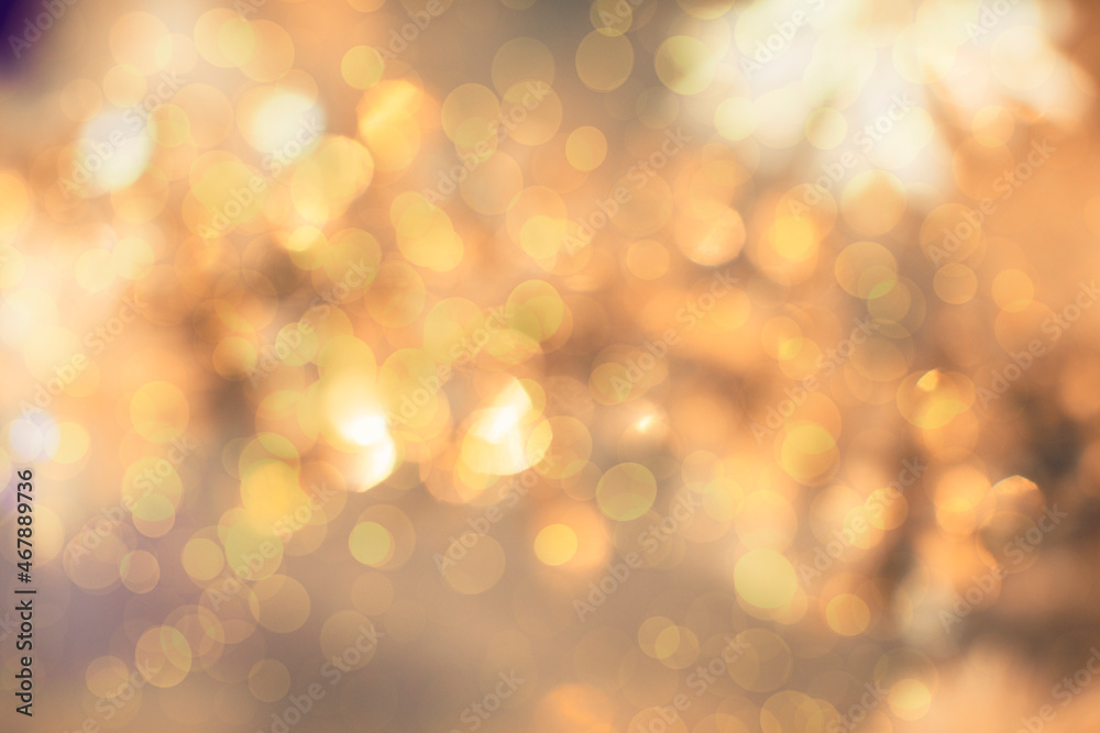 winter christmas background with bokeh and soft focus