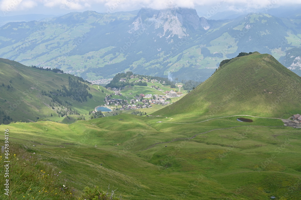 Swiss green landscape