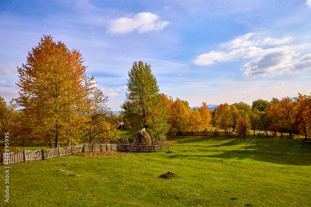 beautiful autumn scenery on a sunny October day. beautiful autumn scenery on a sunny October day.