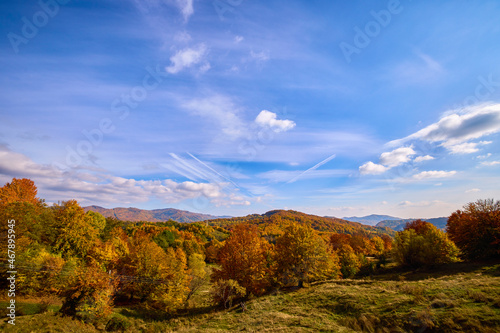beautiful autumn scenery on a sunny October day. © czamfir