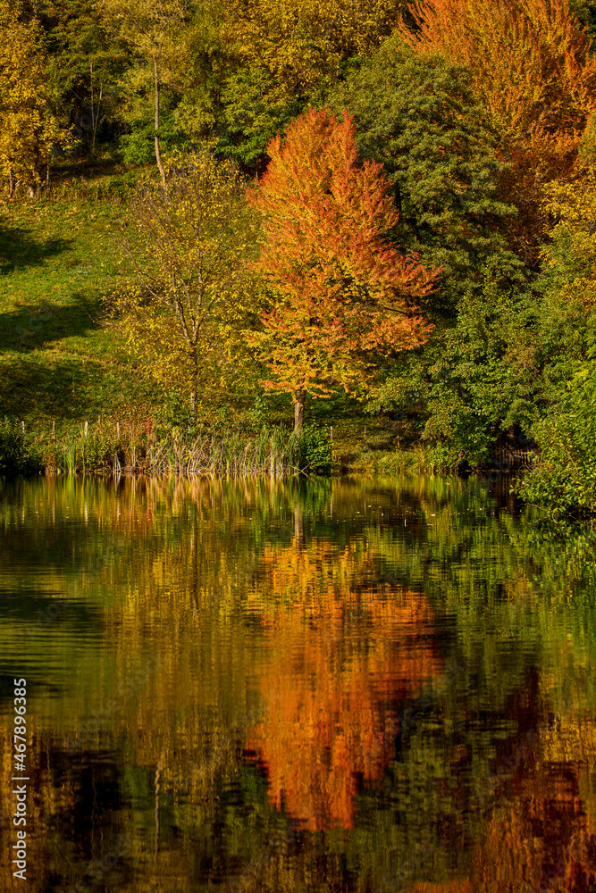 Obraz premium landscape with a mountain lake in autumn on a sunny day