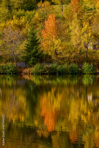 Fototapeta Naklejka Na Ścianę i Meble -  landscape with a mountain lake in autumn on a sunny day