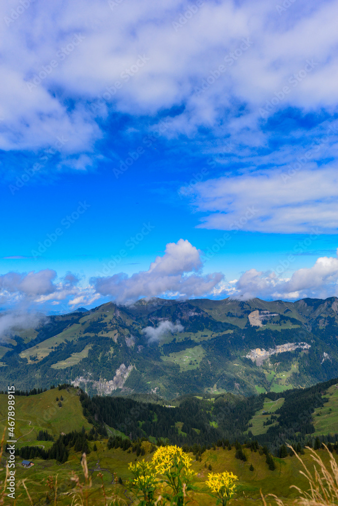 Fototapeta premium Damülser Berge und Dornbirner First in Vorarlberg