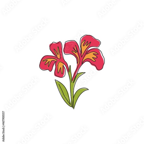 Single continuous line drawing of beauty fresh canna for garden logo. Printable poster decorative canna lily flower concept for wedding invitation card. Modern one line draw design vector illustration