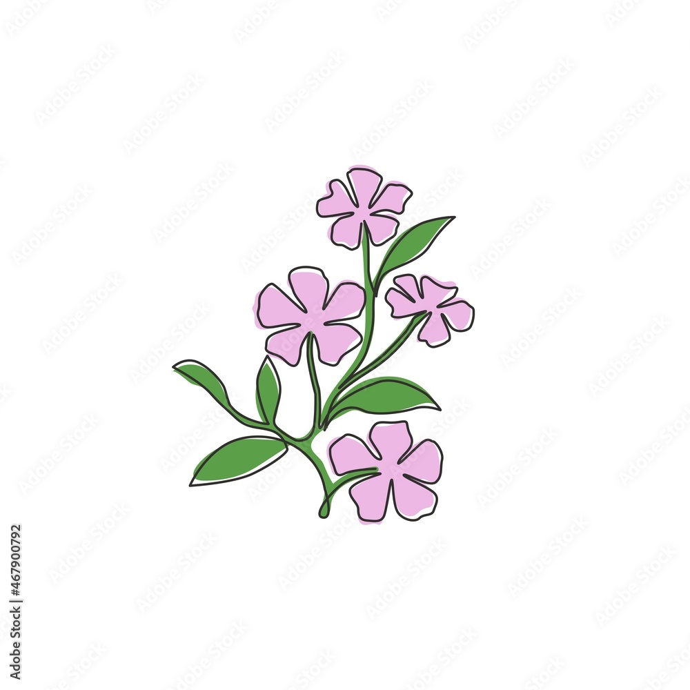 Single one line drawing of beauty fresh catharanthus for garden logo. Decorative periwinkle flower concept for home wall decor art poster print. Modern continuous line draw design vector illustration