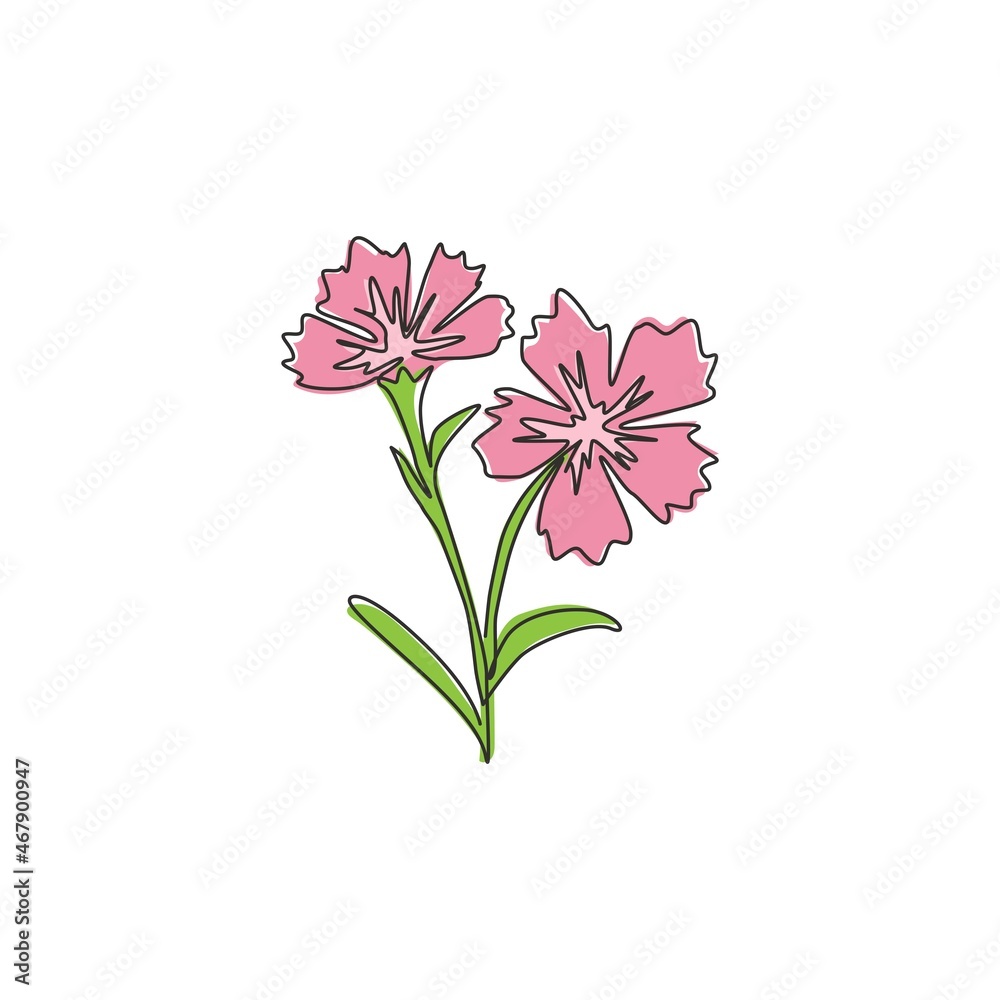Obraz premium Single one line drawing of beauty fresh dianthus for home wall decor art poster print. Decorative carnation flower concept for green park icon. Modern continuous line draw design vector illustration