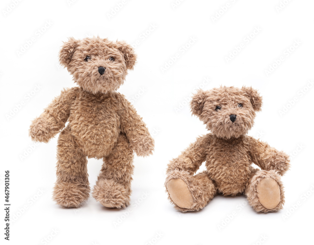 Obraz premium Teddybär sitzend und stehend isoliert auf weissem Hintergrund