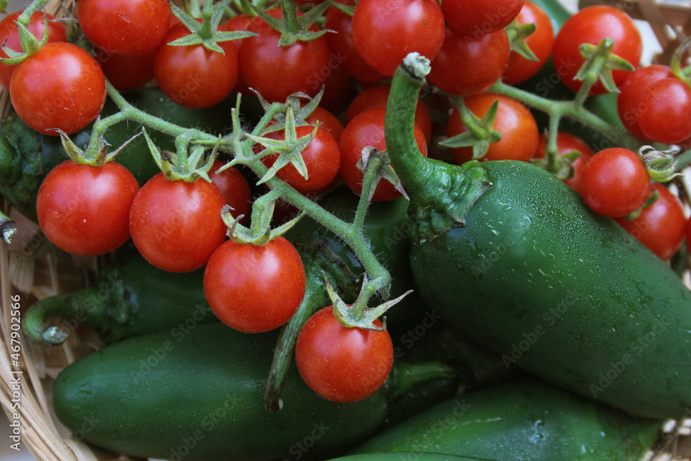 Fresh Jalapeno Peppers and Cherry Tomatoes in Organic Market For Sale Fresh Jalapeno Peppers and Cherry Tomatoes in Organic Market For Sale