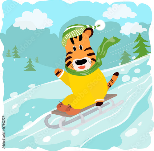 Cute tiger sledding. Wintertime. Vector childish illustration
