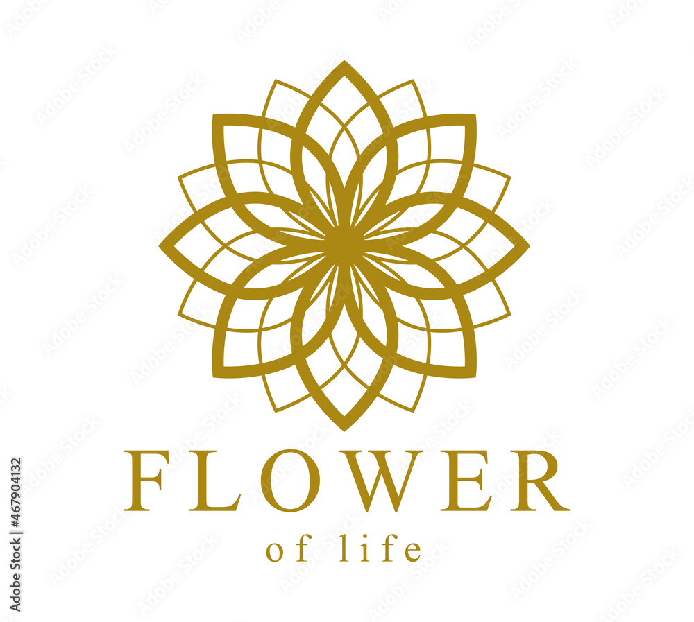 Flower of Life ancient symbol beautiful elegant vector logo or emblem ...