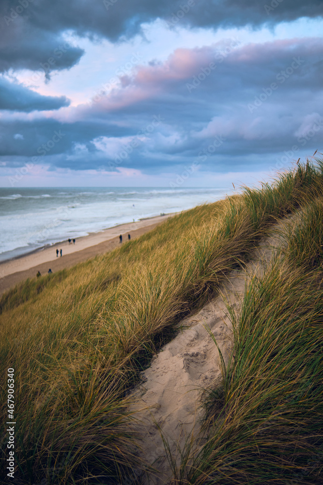 A narrow path leads through the Dunes at the danish Westcoast A narrow path leads through the Dunes at the danish Westcoast