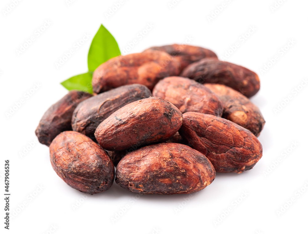Cocao pods swith leaves Cocao pods swith leaves