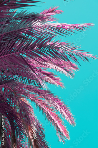 Part of pink bright palm leaves and plants in a tropical garden on blue sky background. Infrared style.