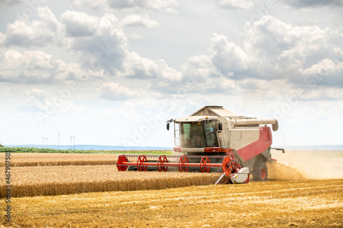 Combine harvester in action on wheat field. Harvesting is the process of gathering a ripe crop from the fields.