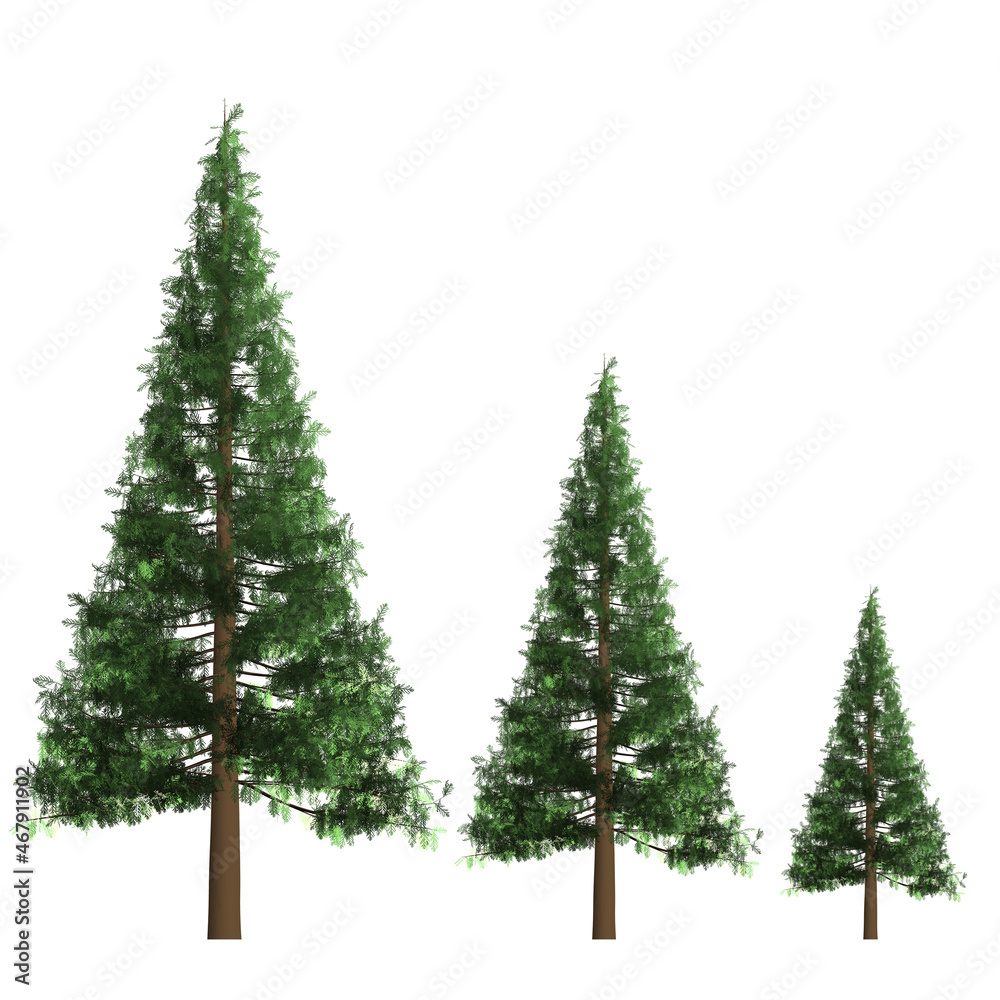 Green trees on white background. Graphic, illustration , icon, image.