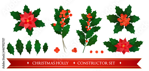 Christmas vector decoration plants set for holiday design isolated on white. Constructor set of holiday christmas plants of holly and poinsettia with elements of branches, leaves, berries and flowers.