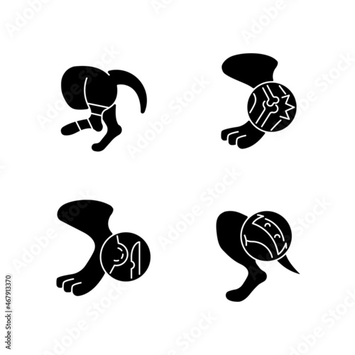 Animal injuries black glyph icons set on white space. Pet physical diseases. Limb sprains and trauma. Skin and fur illness. Surgical treatment. Silhouette symbols. Vector isolated illustration