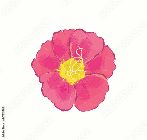Realistic red blooming close-up wild rose flower in vector art illustration design