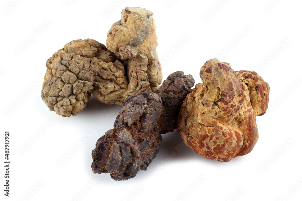 Unusual poo fossil, mineral sample Unusual poo fossil, mineral sample