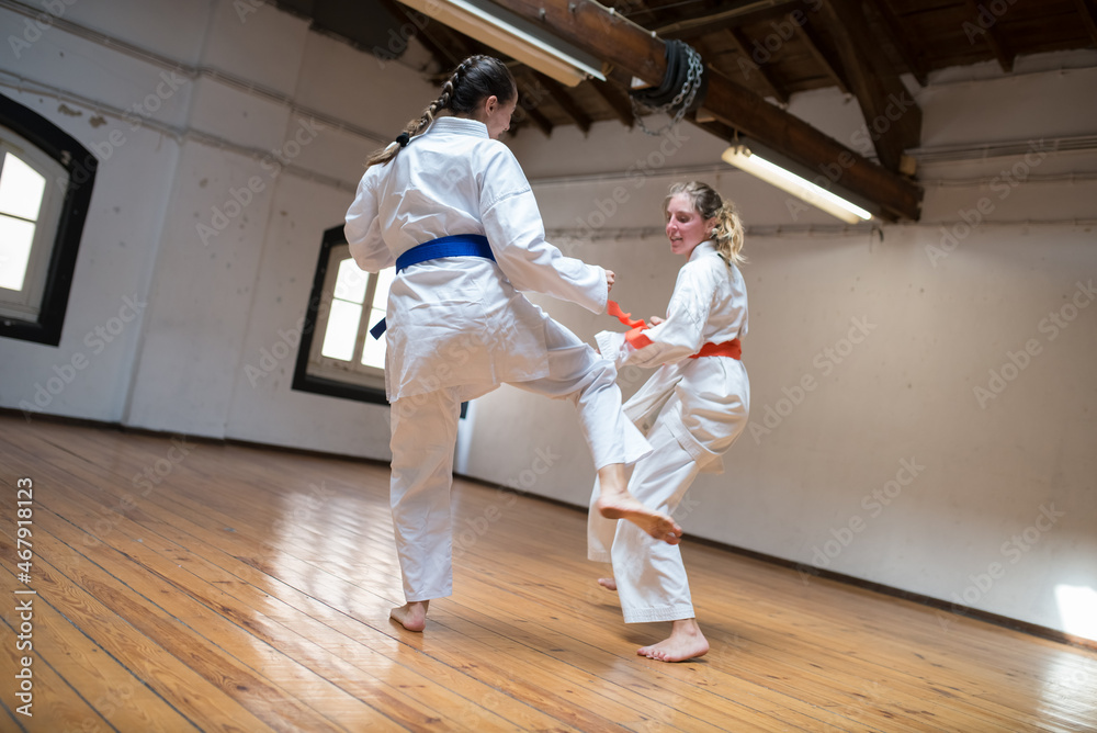 Sporty young women at karate practice. Attractive women in white clothes with blue and red belts practicing attacking. Sport, healthy lifestyle concept