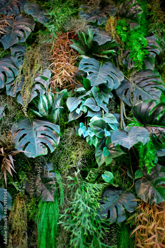 Fototapeta premium Nature is on the wall 