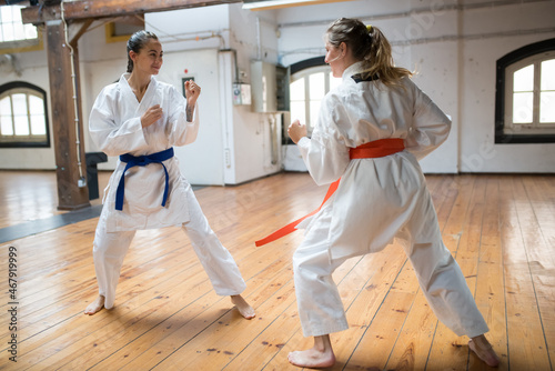 Sporty young women at karate training session. Attractive women in white clothes with blue and red belts standing in combative positions, looking at each other. Sport, healthy lifestyle concept