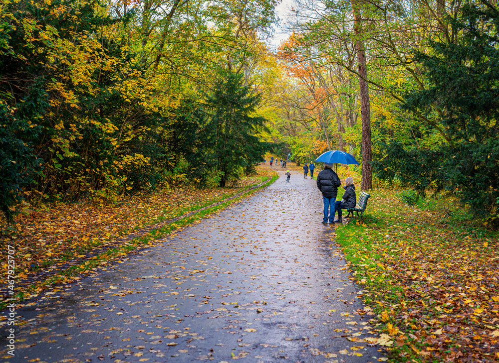 Naklejka premium Herbstimpressionen im park 