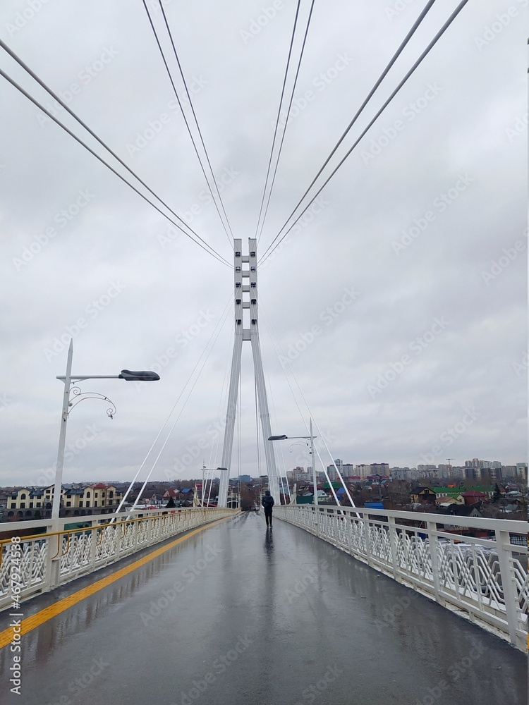 Obraz premium Suspended cable-stayed bridge in cloudy autumn weather after rain