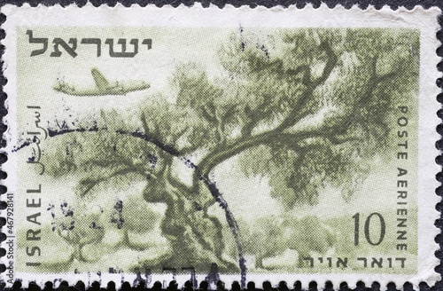 Israel circa 1954: A post stamp printed in Israel showing.at Olive Tree in the Judean Mountains by propeller plane photo