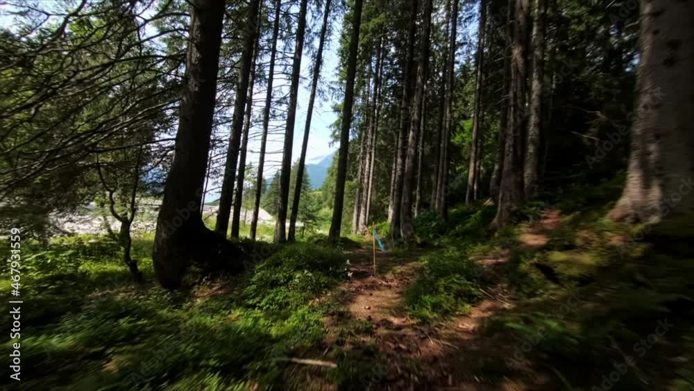 Drohnenflug durch den Wald und am Fluss Drohnenflug durch den Wald und am Fluss