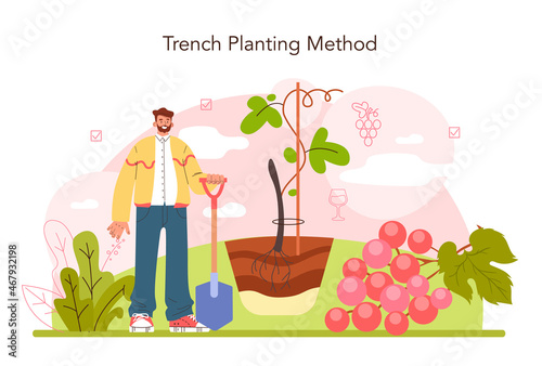Wine production concept. Grape tree selection and cultivation.
