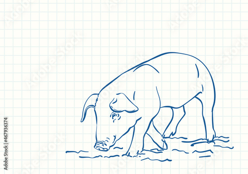 Sniffing pig, Blue pen sketch on square grid notebook page, Hand drawn vector linear illustration