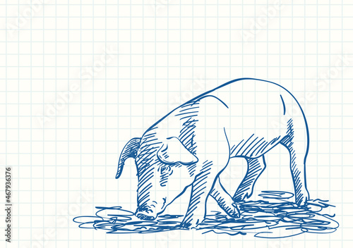Sniffing pig, Blue pen sketch on square grid notebook page, Hand drawn vector illustration