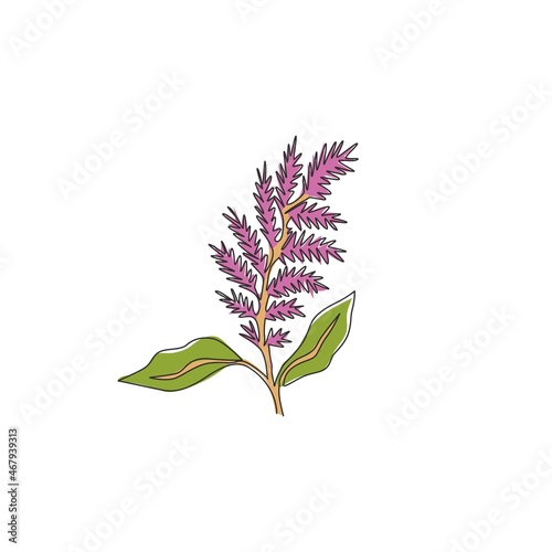 One continuous line drawing of beauty fresh amaranthus for home wall decor ar poster print. Decorative amaranth flower concept for wedding invitation card. Single line draw design vector illustration