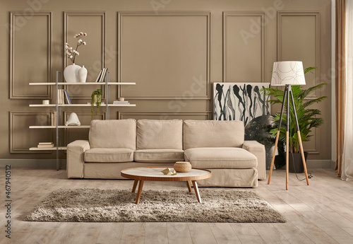 Brown classic wall background with sofa and white bookshelf book accessory style, vase of plant, lamp decoration and carpet.