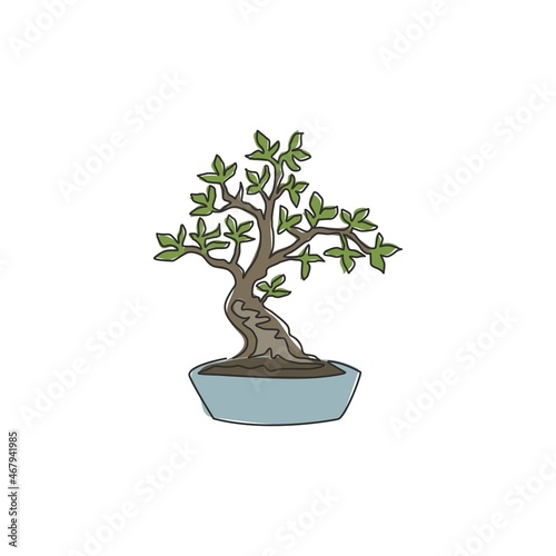 One continuous line drawing beauty and exotic bonsai tree for home wall decor art poster print. Decorative ancient potted bonsai plant for plant shop logo. Single line draw design vector illustration