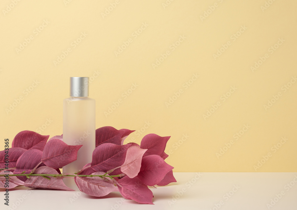 transparent plastic bottle on white table, branch with red leaves. Cosmetic products, brand promotion and advertising transparent plastic bottle on white table, branch with red leaves. Cosmetic products, brand promotion and advertising